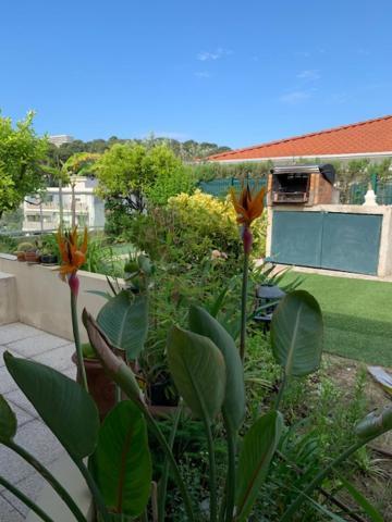 Jardin D'Azur Proche Mer Cagnes-sur-Mer Esterno foto